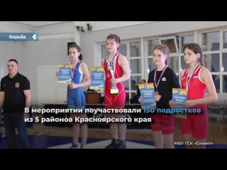 sportsmen from achinsk won 15 medals at the open freestyle wrestling championship